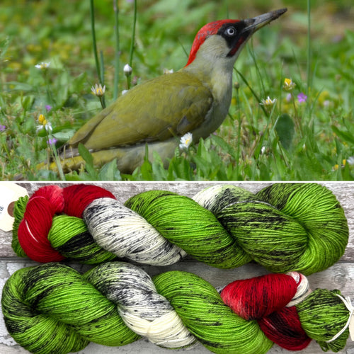 Green Woodpecker, British Birds Bluefaced Leicester