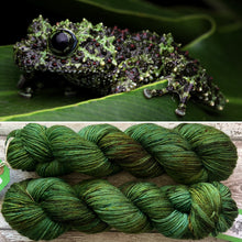 Load image into Gallery viewer, Mossy Frog DK, merino nylon yarn