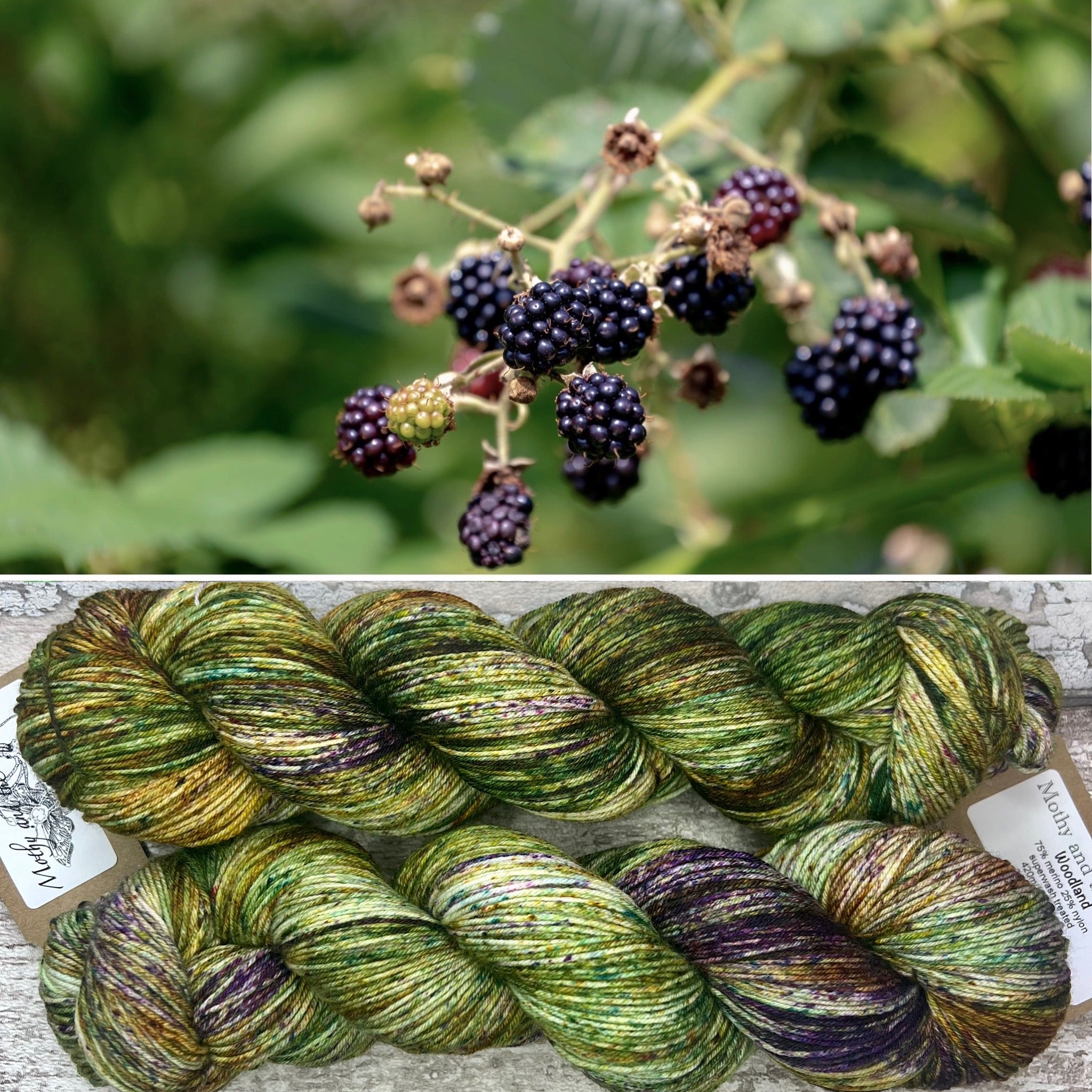 Woodland, merino nylon sock yarn – Mothy and the Squid