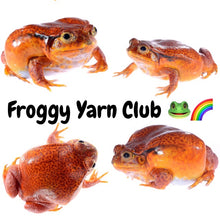 Load image into Gallery viewer, ROW Rainbow Yarn Subscription Club