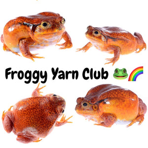 ROW Rainbow Yarn Subscription Club
