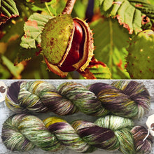 Load image into Gallery viewer, Horse Chestnut, merino nylon sock yarn