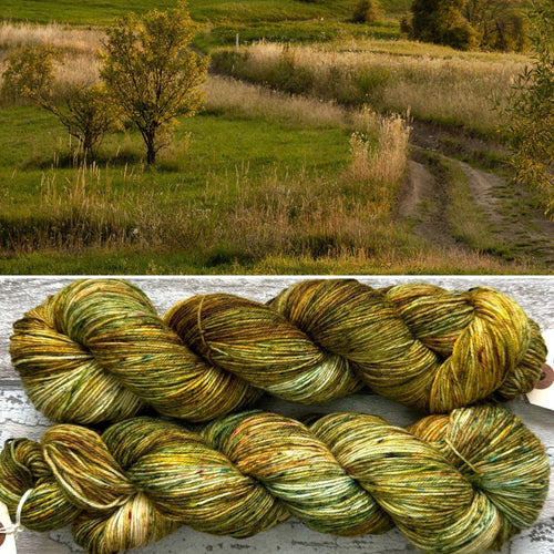 Early Autumn, merino nylon sock yarn