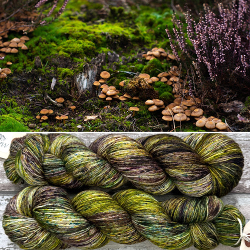 Autumn Garden, merino nylon sock yarn