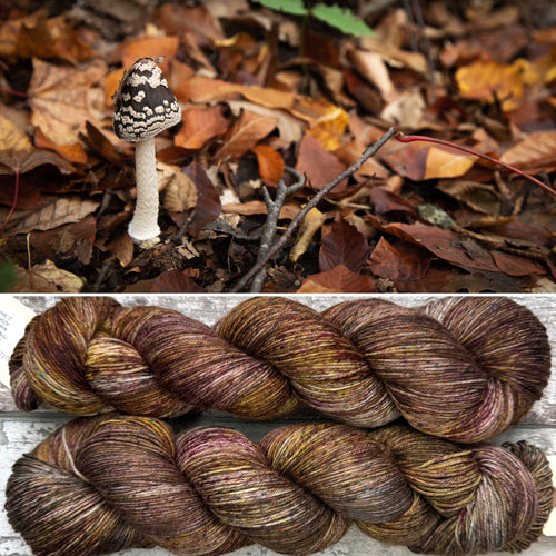 Autumn Vibes, merino nylon sock yarn