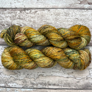 Autumn Light, merino nylon sock yarn