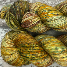 Load image into Gallery viewer, Autumn Light, merino nylon sock yarn