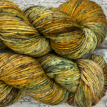 Load image into Gallery viewer, Autumn Light, merino nylon sock yarn