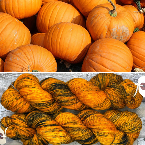 Pumpkin, merino nylon sock yarn
