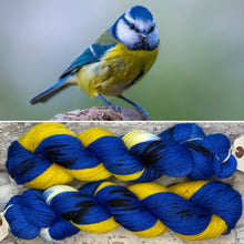 Load image into Gallery viewer, Blue Tit, British Birds Bluefaced Leicester