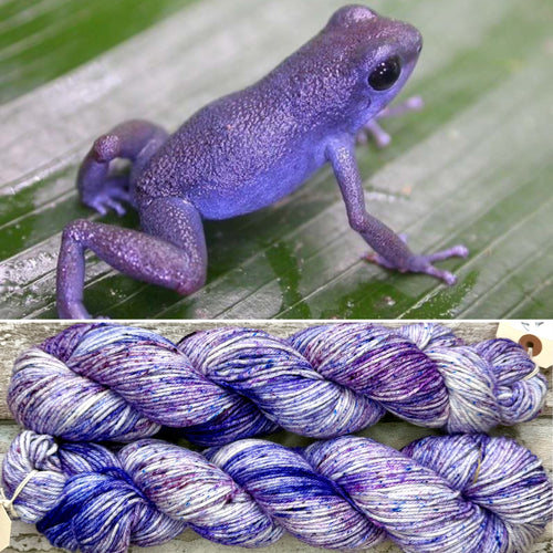 Dart Frog, Oophaga pumilio cauchero, merino nylon yarn