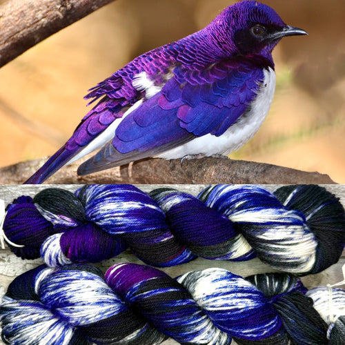 Violet Backed Starling DK, merino nylon sock yarn