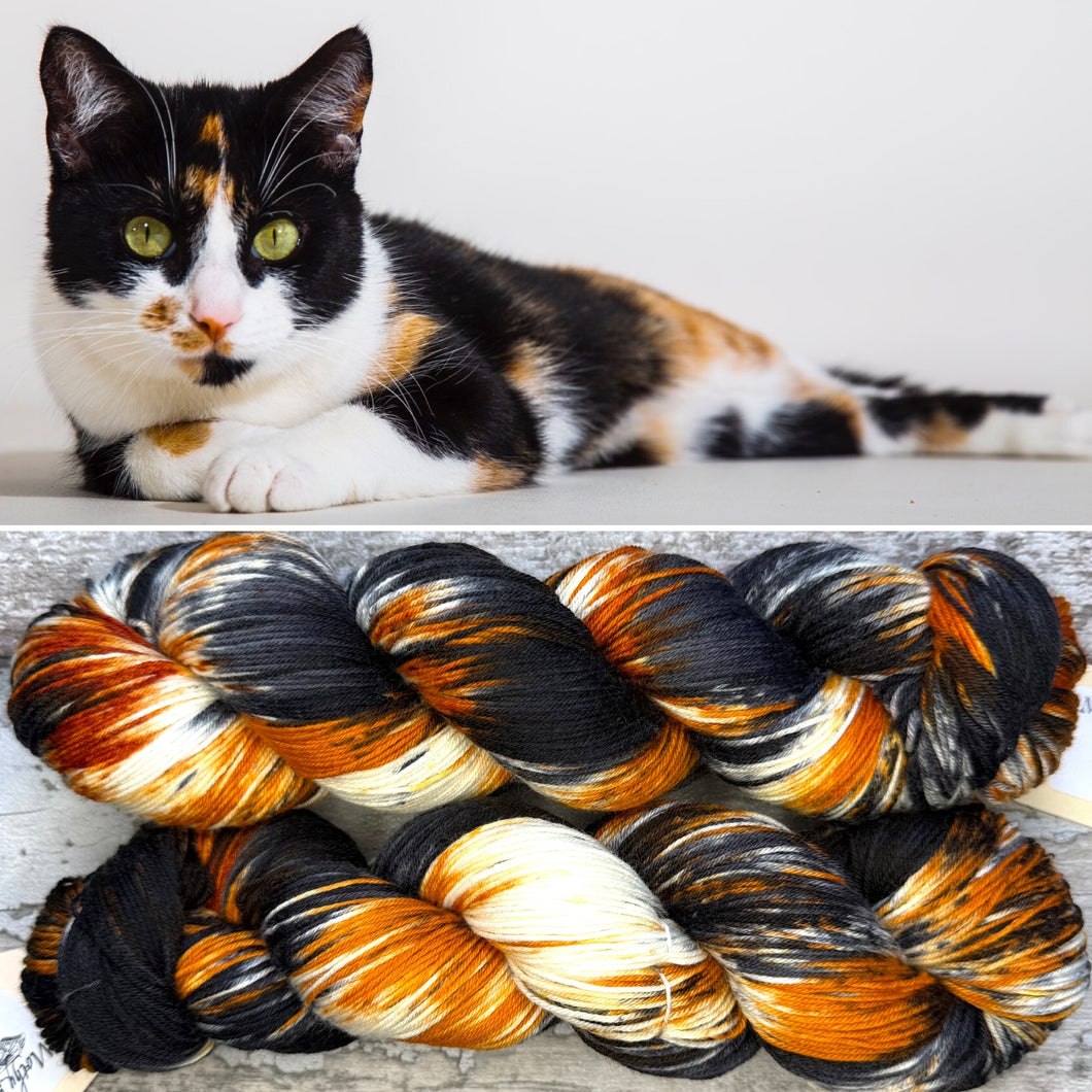 Calico Cat, merino nylon sock yarn