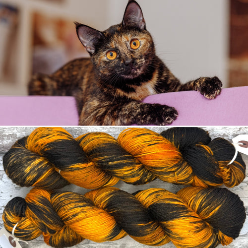 Tortoiseshell Cat, merino nylon sock yarn