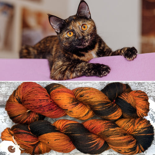 Tortoiseshell Cat DK, merino nylon yarn