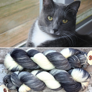 Grey Tuxedo Cat, merino nylon sock yarn