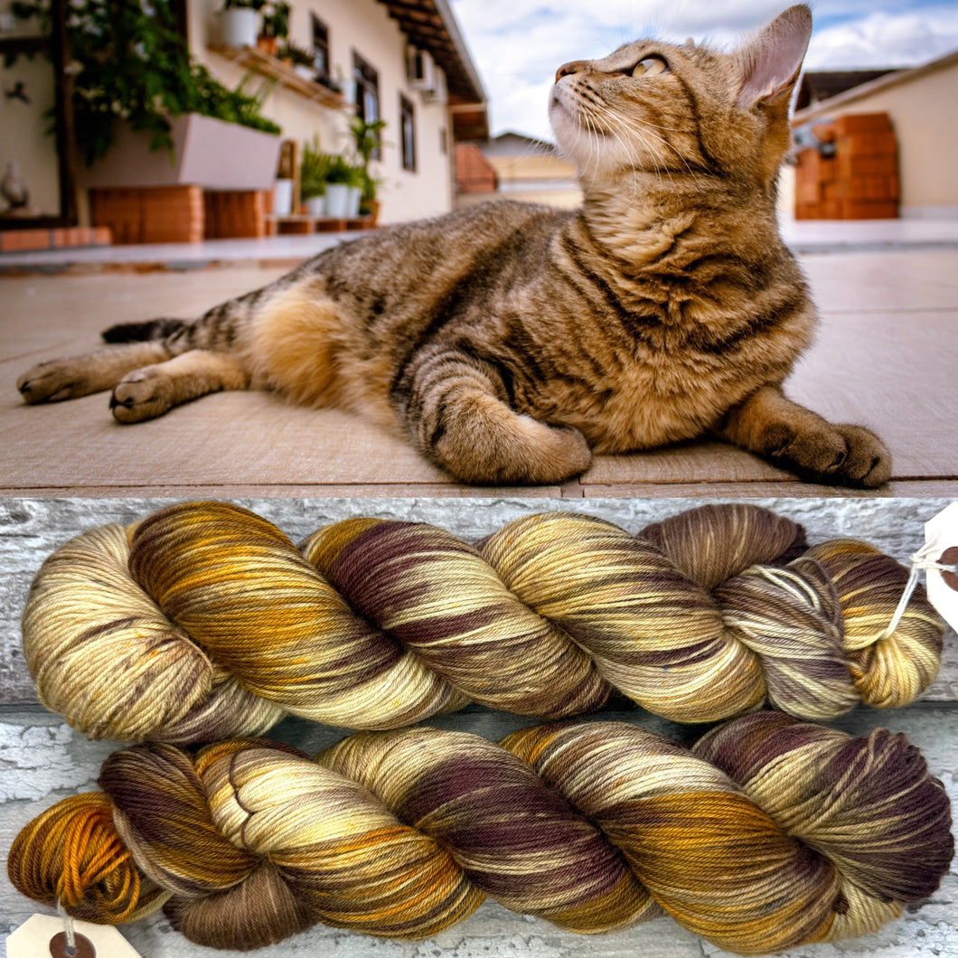 Brown Tabby Cat, merino nylon sock yarn