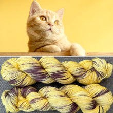 Load image into Gallery viewer, Golden Cat, merino nylon sock yarn
