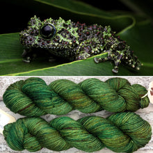 Load image into Gallery viewer, Mossy Frog DK, merino nylon yarn