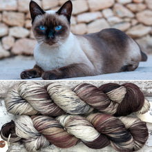 Load image into Gallery viewer, Siamese Cat, merino nylon sock yarn