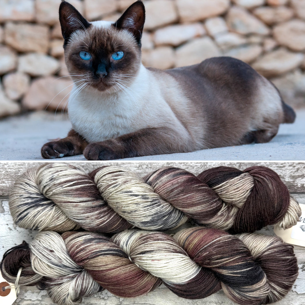 Siamese Cat, merino nylon sock yarn