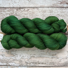 Load image into Gallery viewer, Pine Forest, merino nylon sock yarn