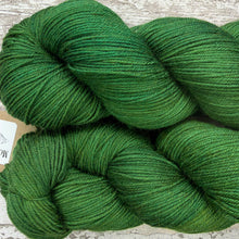 Load image into Gallery viewer, Pine Forest, merino nylon sock yarn