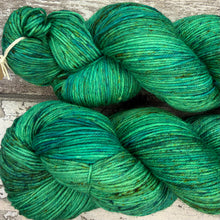 Load image into Gallery viewer, Could Be A Frog, merino nylon sock yarn