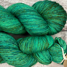 Load image into Gallery viewer, Could Be A Frog, merino nylon sock yarn