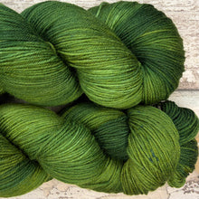 Load image into Gallery viewer, Conifers, merino nylon sock yarn
