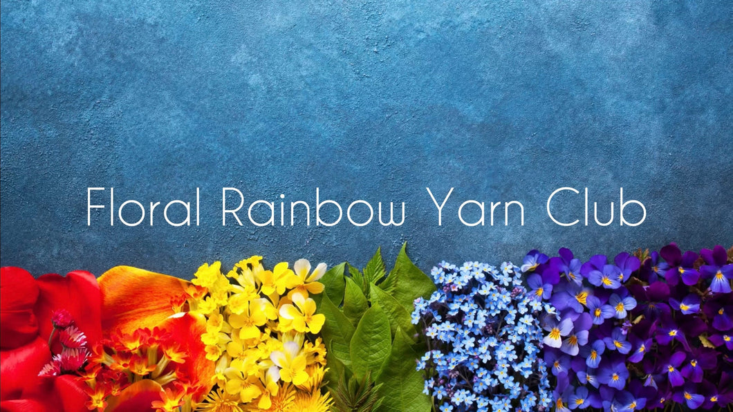 Rainbow Yarn Subscription Club