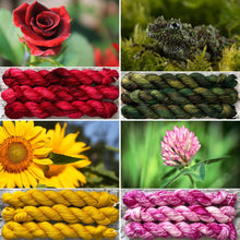 Load image into Gallery viewer, Sock Yarn Miniskein Selection