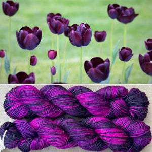 Black Tulip DK, merino nylon sock yarn
