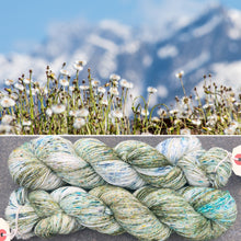 Load image into Gallery viewer, Spring Flowers, merino nylon sock yarn