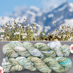 Spring Flowers, merino nylon sock yarn