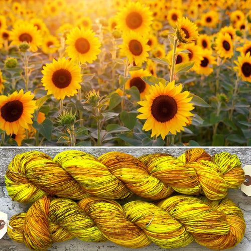 Sunflowers, merino nylon sock yarn