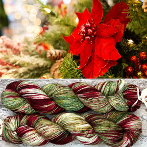 Poinsettia, merino nylon sock yarn