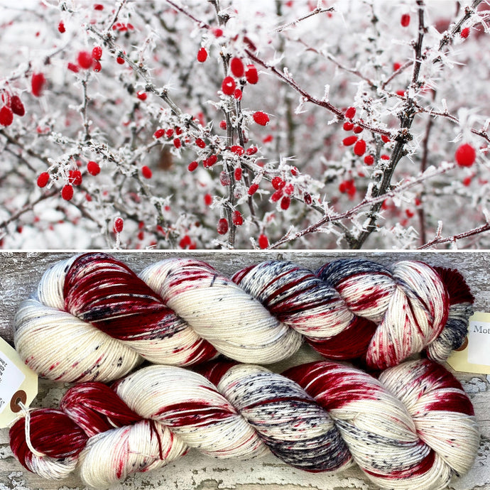 Winter Berries, merino nylon sock yarn