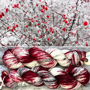 Winter Berries DK, merino nylon yarn