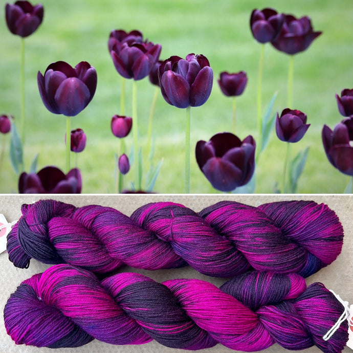 Black Tulip, merino nylon sock yarn