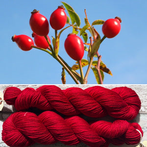 Rosehip DK, merino nylon yarn